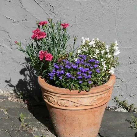 Quarto em Acomodações Particulares Gaestehaus Cheval Blanc Lorch am Rhein