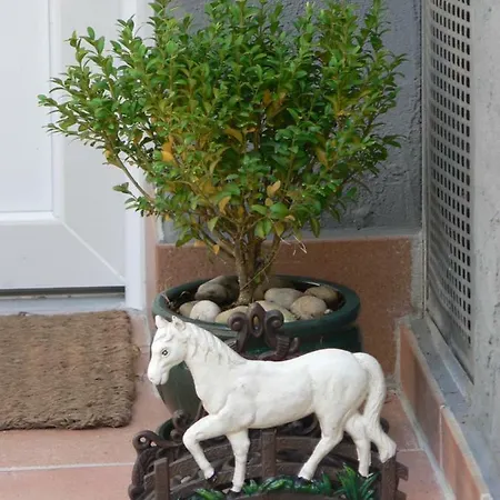 Gaestehaus Cheval Blanc Lorch am Rhein