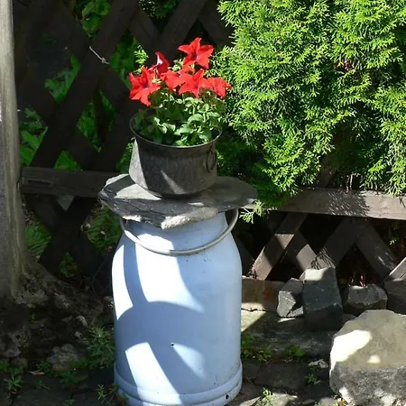 Gaestehaus Cheval Blanc