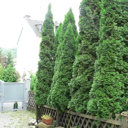 Gaestehaus Cheval Blanc *