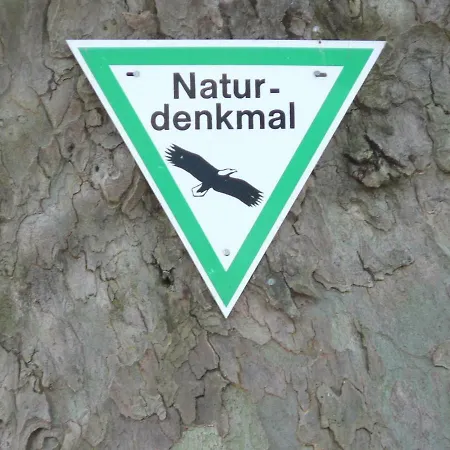 Gaestehaus Cheval Blanc Privatunterkunft Lorch am Rhein