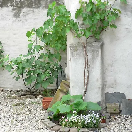 Gaestehaus Cheval Blanc Lorch am Rhein