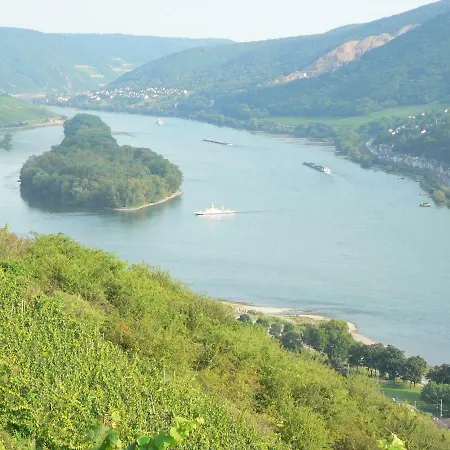 Gaestehaus Cheval Blanc * Lorch am Rhein