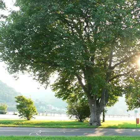 Cheval Blanc * Lorch am Rhein