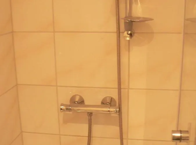 Séjour chez l'habitant Gaestehaus Cheval Blanc Lorch am Rhein