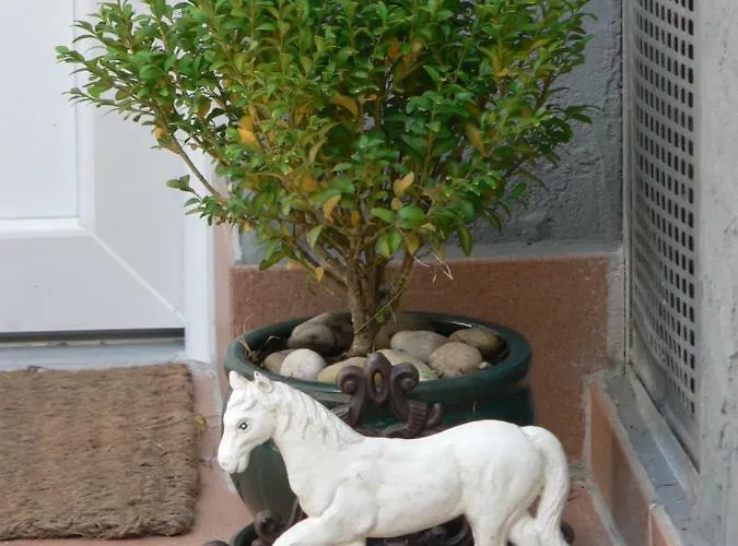 Gaestehaus Cheval Blanc Lorch am Rhein