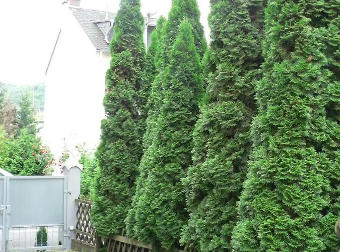 Gaestehaus Cheval Blanc *