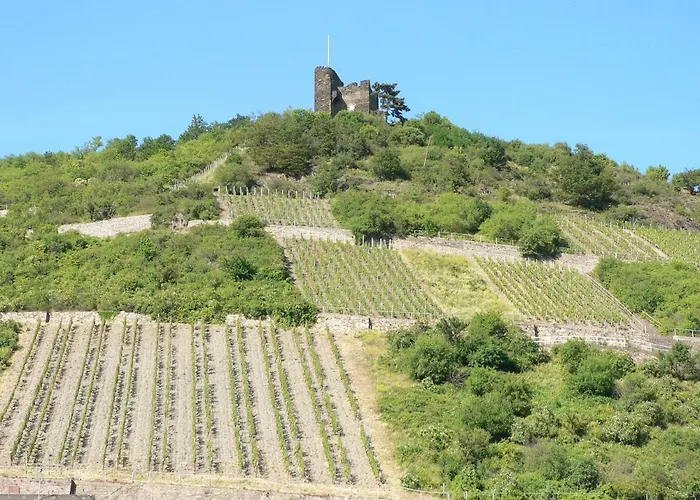Gaestehaus Cheval Blanc Lorch am Rhein