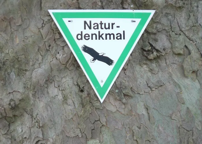 Gaestehaus Cheval Blanc Séjour chez l'habitant Lorch am Rhein