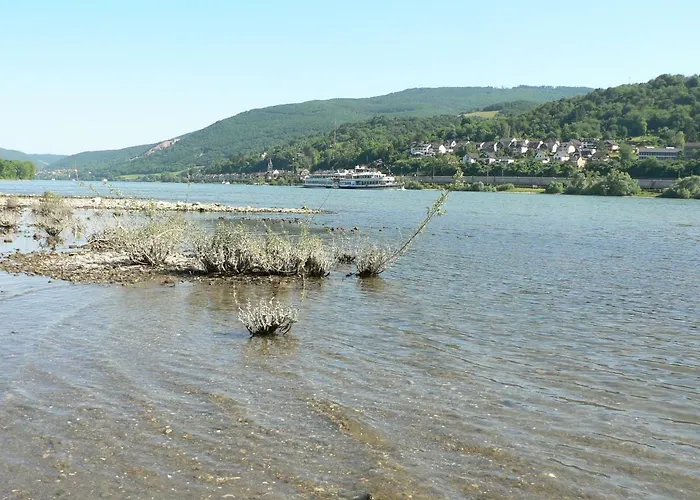 Séjour chez l'habitant Gaestehaus Cheval Blanc