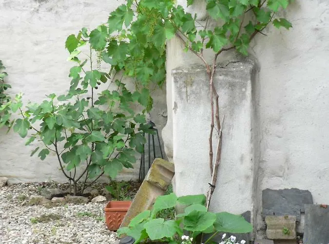 Gaestehaus Cheval Blanc Lorch am Rhein